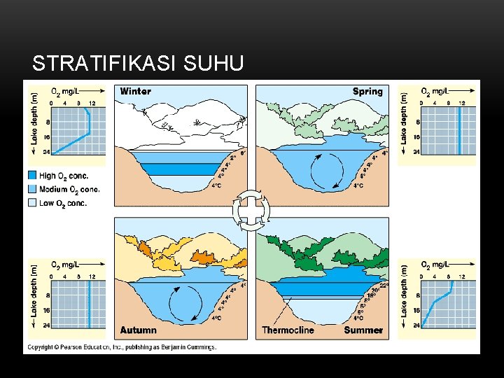 STRATIFIKASI SUHU 