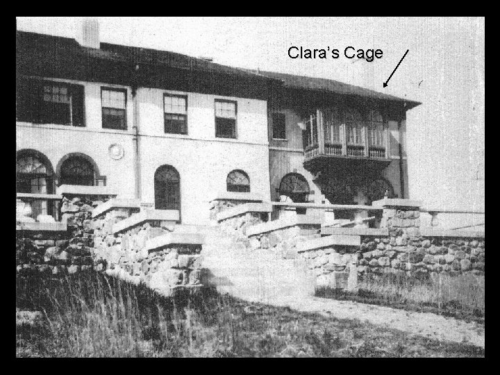 Clara’s Cage 