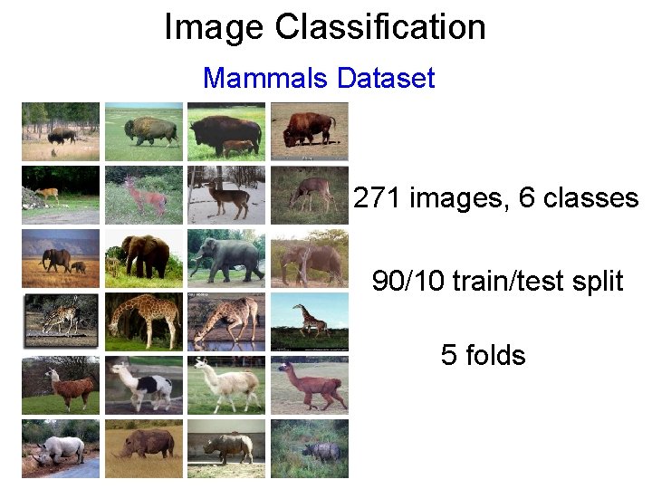 Image Classification Mammals Dataset 271 images, 6 classes 90/10 train/test split 5 folds 