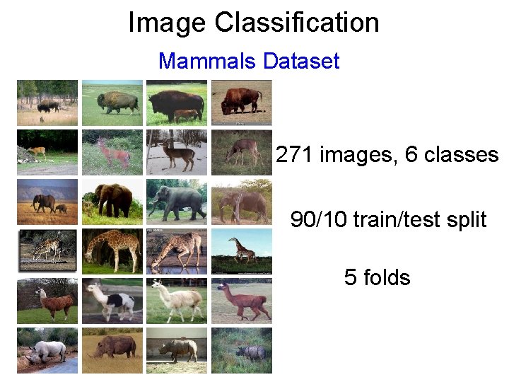 Image Classification Mammals Dataset 271 images, 6 classes 90/10 train/test split 5 folds 