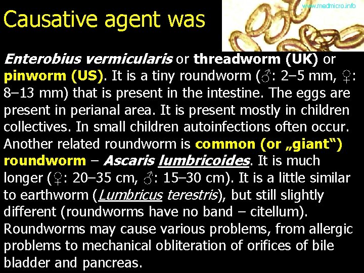 Causative agent was www. medmicro. info Enterobius vermicularis or threadworm (UK) or pinworm (US).
