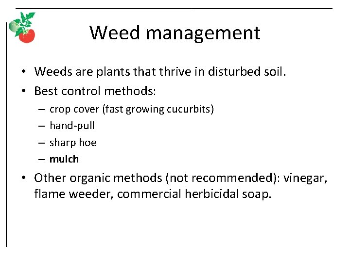 Weed management • Weeds are plants that thrive in disturbed soil. • Best control