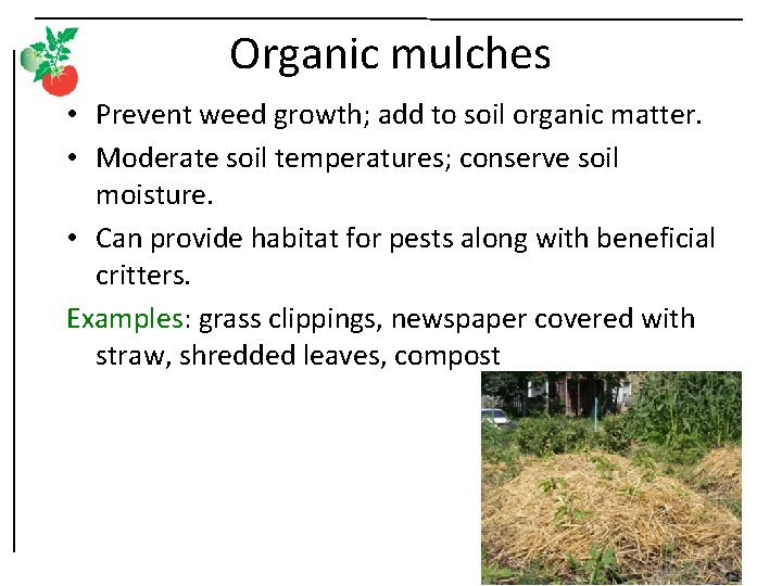 Organic mulches • Prevent weed growth; add to soil organic matter. • Moderate soil