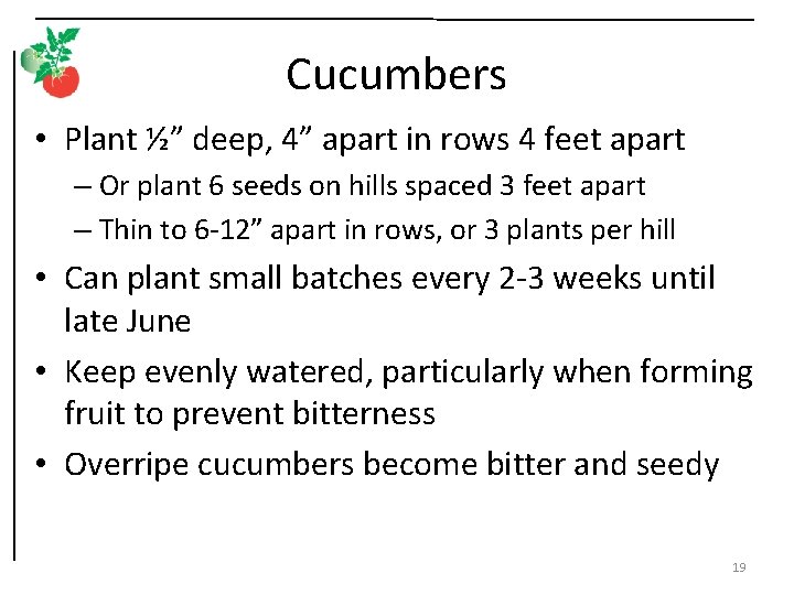 Cucumbers • Plant ½” deep, 4” apart in rows 4 feet apart – Or