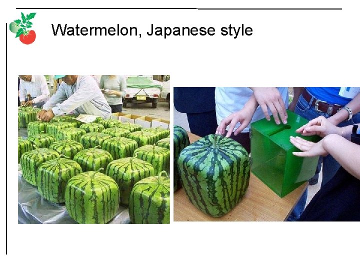 Watermelon, Japanese style 