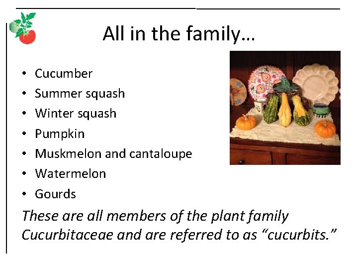 All in the family… • • Cucumber Summer squash Winter squash Pumpkin Muskmelon and
