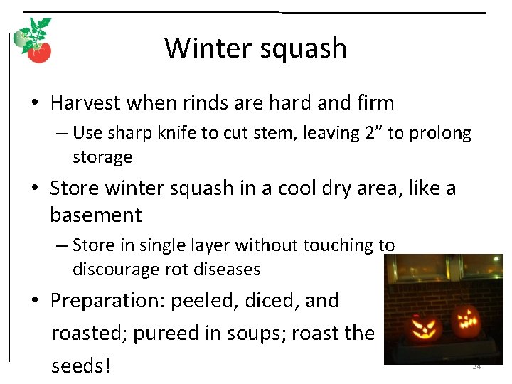 Winter squash • Harvest when rinds are hard and firm – Use sharp knife