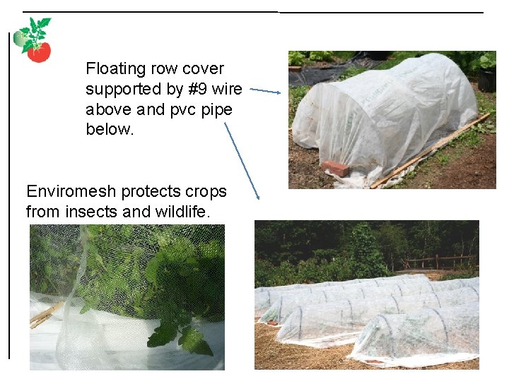 Floating row cover supported by #9 wire above and pvc pipe below. Enviromesh protects