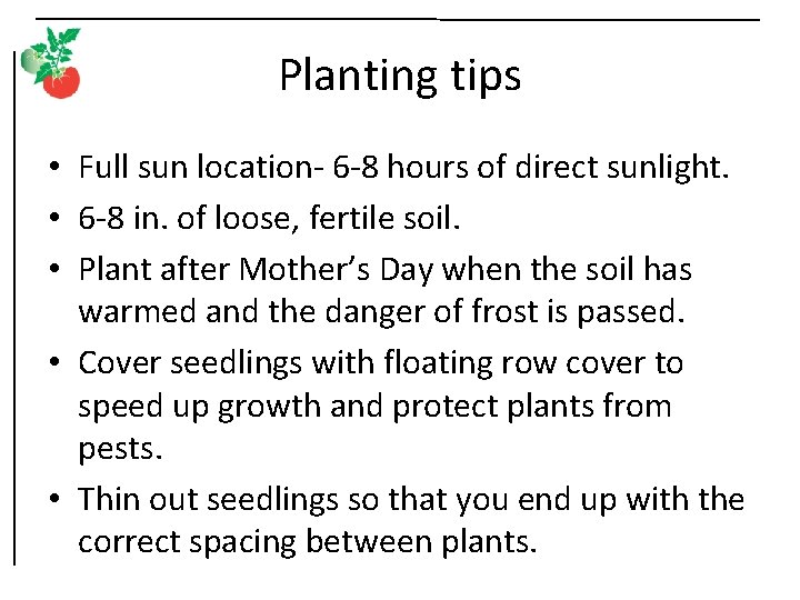 Planting tips • Full sun location- 6 -8 hours of direct sunlight. • 6