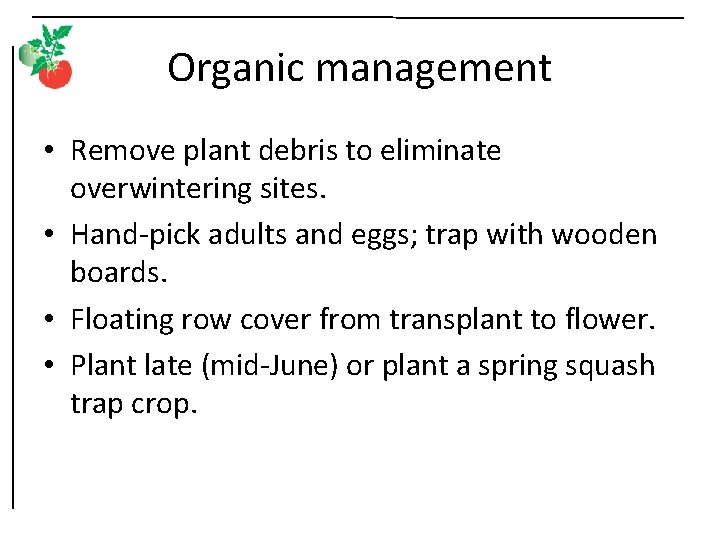 Organic management • Remove plant debris to eliminate overwintering sites. • Hand-pick adults and