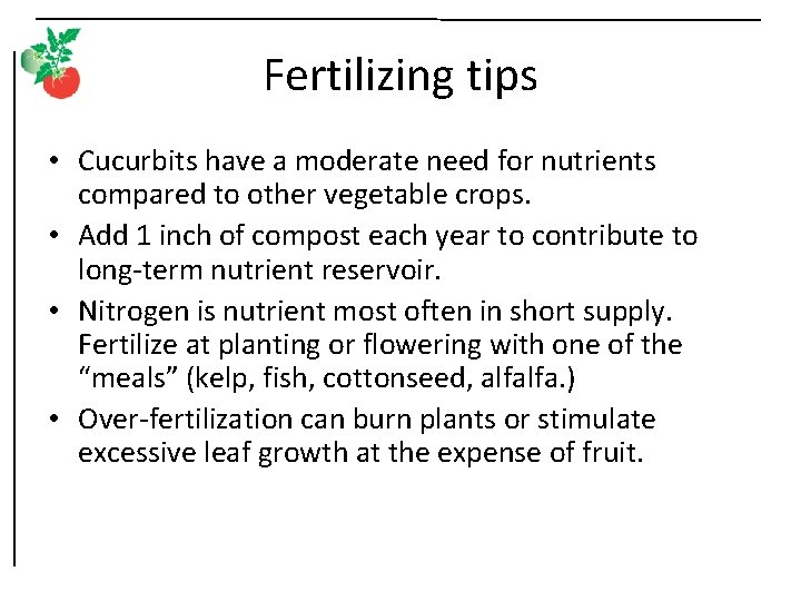 Fertilizing tips • Cucurbits have a moderate need for nutrients compared to other vegetable