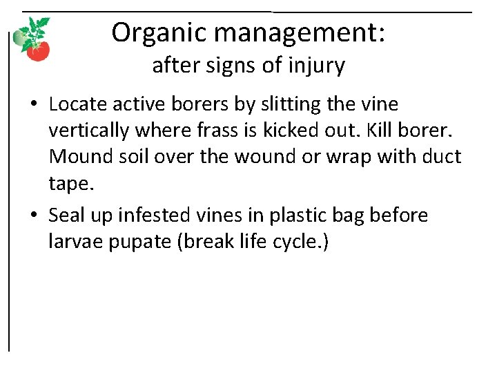 Organic management: after signs of injury • Locate active borers by slitting the vine