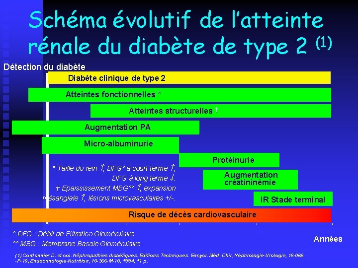 Schéma évolutif de l’atteinte rénale du diabète de type 2 (1) Détection du diabète