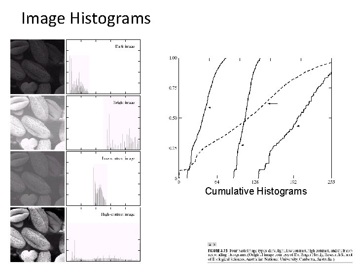 Image Histograms Cumulative Histograms 