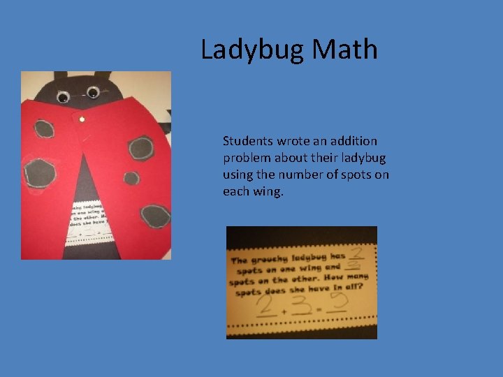 Ladybug Math Students wrote an addition problem about their ladybug using the number of