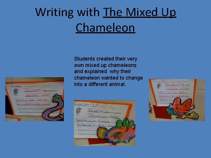 Writing with The Mixed Up Chameleon Students created their very own mixed up chameleons