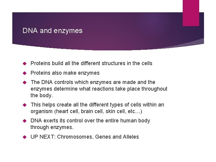 DNA and enzymes Proteins build all the different structures in the cells Proteins also