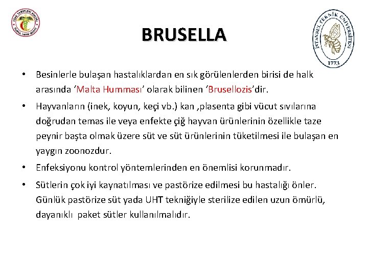 BRUSELLA • Besinlerle bulaşan hastalıklardan en sık görülenlerden birisi de halk arasında ‘Malta Humması’