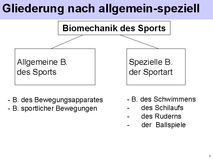 Gliederung nach allgemein-speziell Biomechanik des Sports Allgemeine B. des Sports - B. des Bewegungsapparates