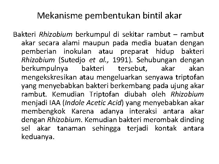 Mekanisme pembentukan bintil akar Bakteri Rhizobium berkumpul di sekitar rambut – rambut akar secara