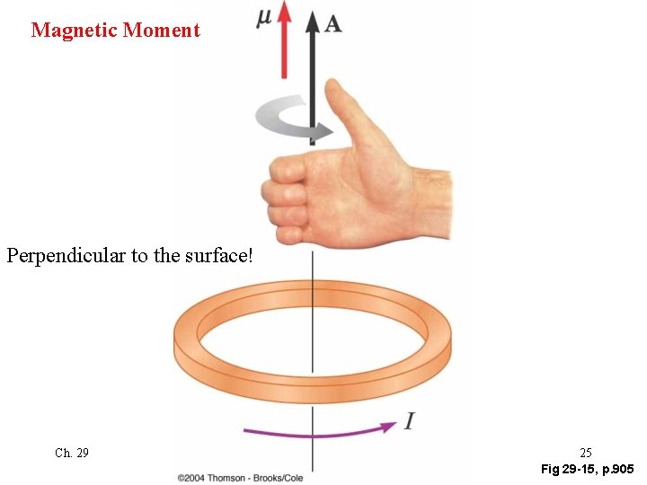 Magnetic Moment Perpendicular to the surface! Ch. 29 25 Fig 29 -15, p. 905