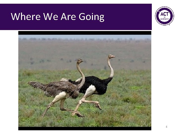 Where We Are Going 4 