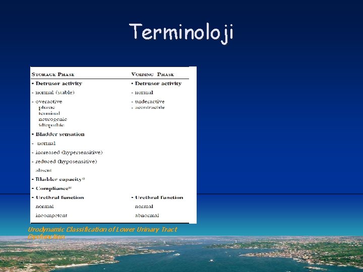 Terminoloji Urodynamic Classification of Lower Urinary Tract Dysfunction 