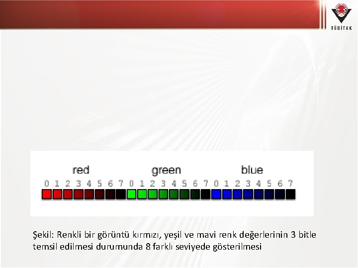 Şekil: Renkli bir görüntü kırmızı, yeşil ve mavi renk değerlerinin 3 bitle temsil edilmesi