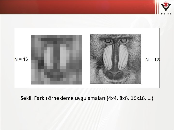 Şekil: Farklı örnekleme uygulamaları (4 x 4, 8 x 8, 16 x 16, …)