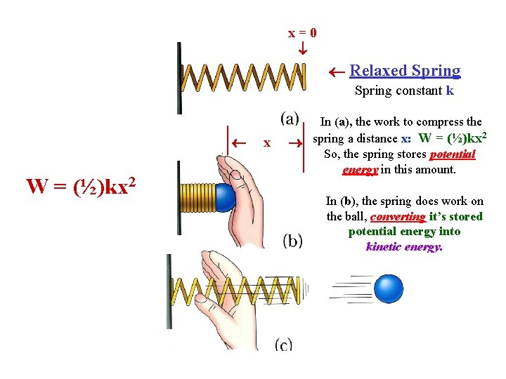 x=0 Relaxed Spring constant k W= (½)kx 2 x In (a), the work to