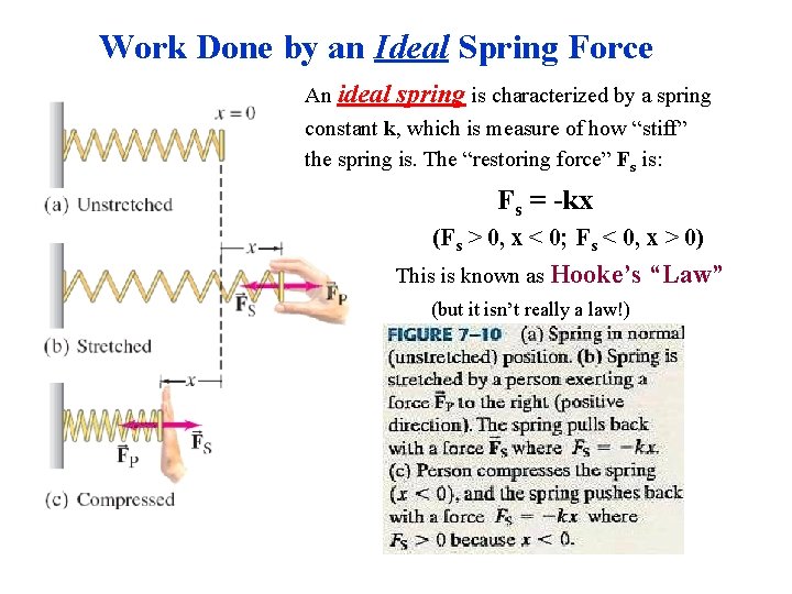 Work Done by an Ideal Spring Force An ideal spring is characterized by a