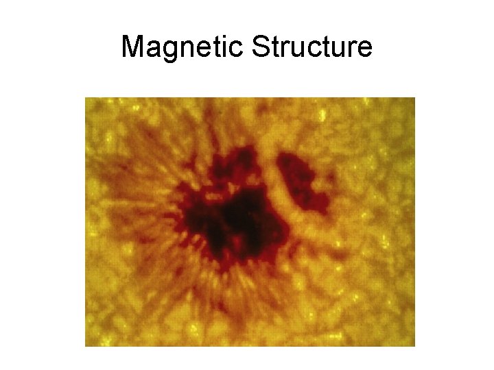 Magnetic Structure 