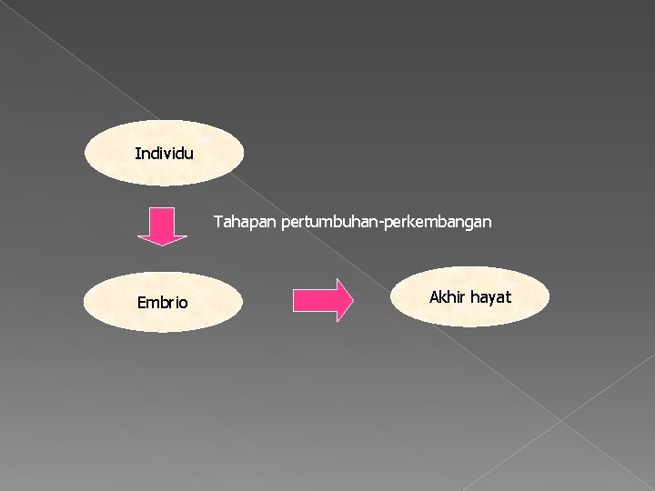 Individu Tahapan pertumbuhan-perkembangan Embrio Akhir hayat 