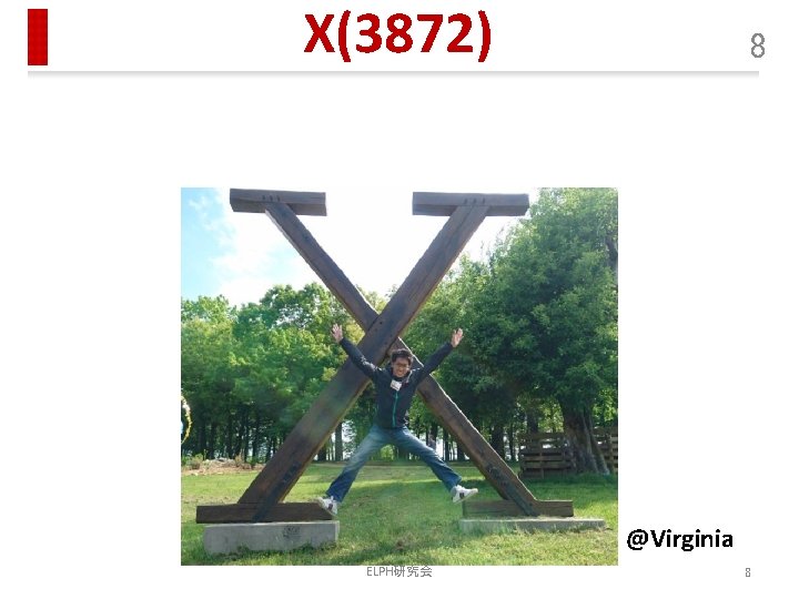 X(3872) 8 @Virginia ELPH研究会 8 