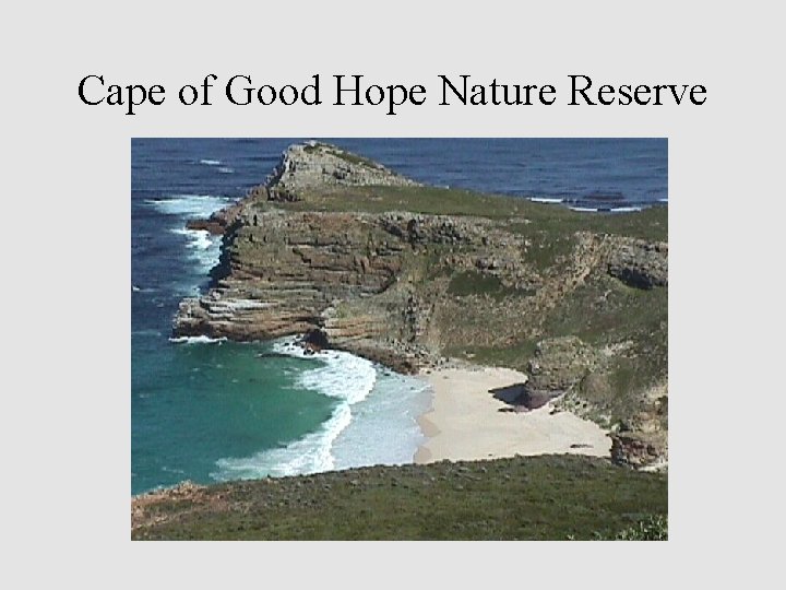 Cape of Good Hope Nature Reserve 