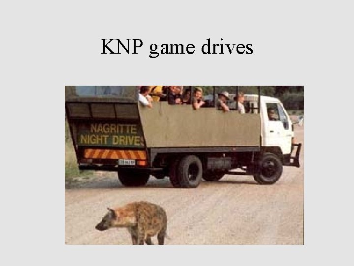 KNP game drives 