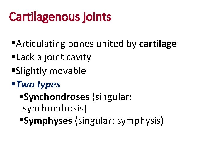 Cartilagenous joints §Articulating bones united by cartilage §Lack a joint cavity §Slightly movable §Two Cartilagenous joints §Articulating bones united by cartilage §Lack a joint cavity §Slightly movable §Two
