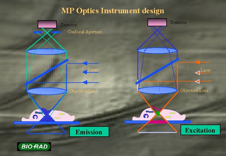 MP Optics Instrument design Detector Confocal Aperture Laser Objective Lens C C Emission Excitation