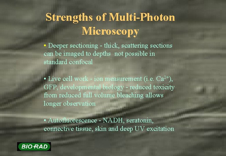 Strengths of Multi-Photon Microscopy • Deeper sectioning - thick, scattering sections can be imaged