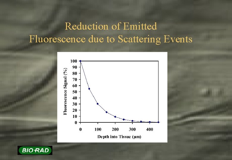 Reduction of Emitted Fluorescence due to Scattering Events 