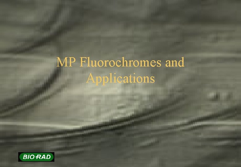 MP Fluorochromes and Applications 