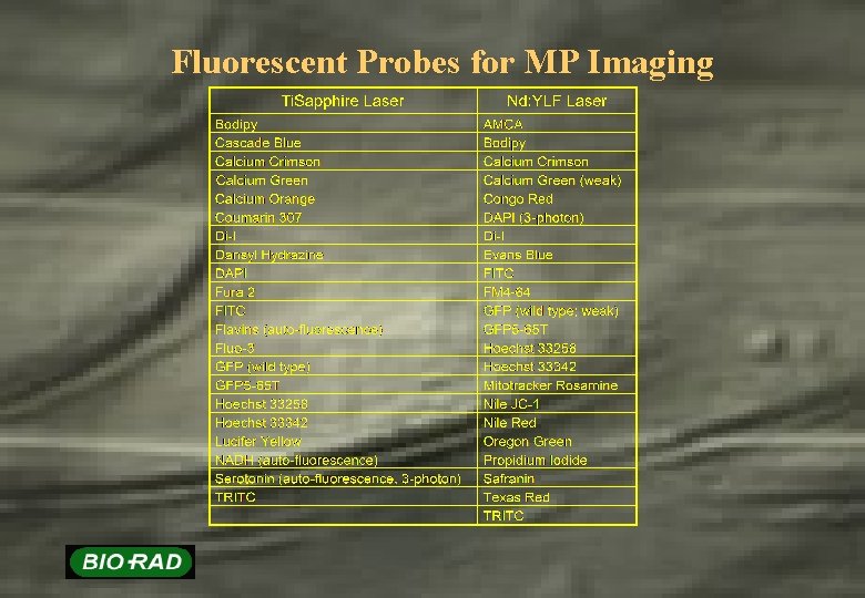Fluorescent Probes for MP Imaging 