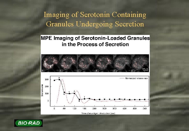 Imaging of Serotonin Containing Granules Undergoing Secretion 