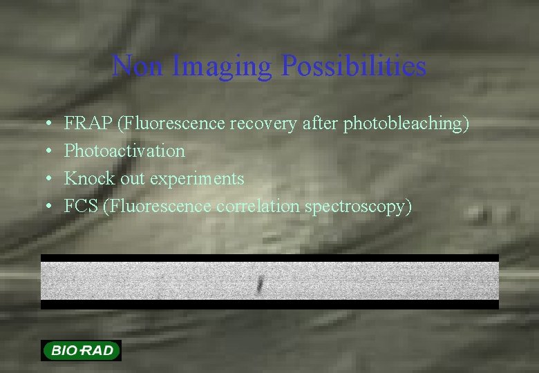 Non Imaging Possibilities • • FRAP (Fluorescence recovery after photobleaching) Photoactivation Knock out experiments