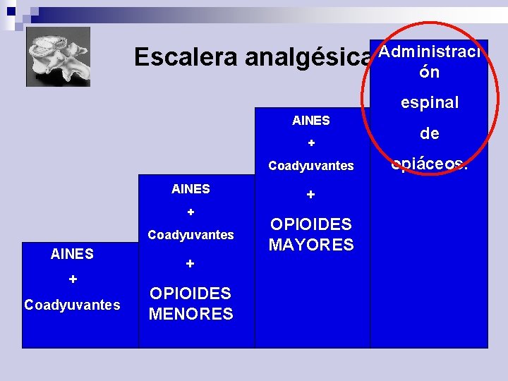 Escalera analgésica Administraci ón ón espinal AINES + Coadyuvantes + OPIOIDES MENORES + OPIOIDES