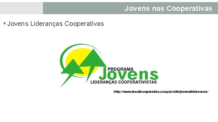 Jovens nas Cooperativas § Jovens Lideranças Cooperativas http: //www. brasilcooperativo. coop. br/site/jovensliderancas/ 