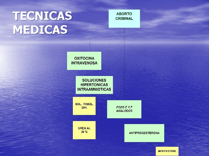 TECNICAS MEDICAS 