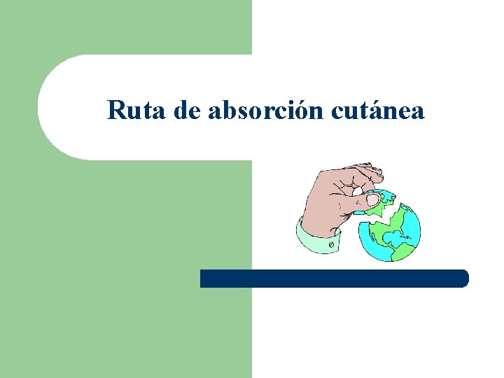 Ruta de absorción cutánea 