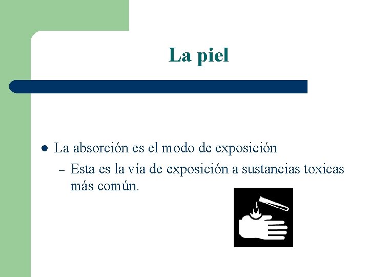 La piel l La absorción es el modo de exposición – Esta es la