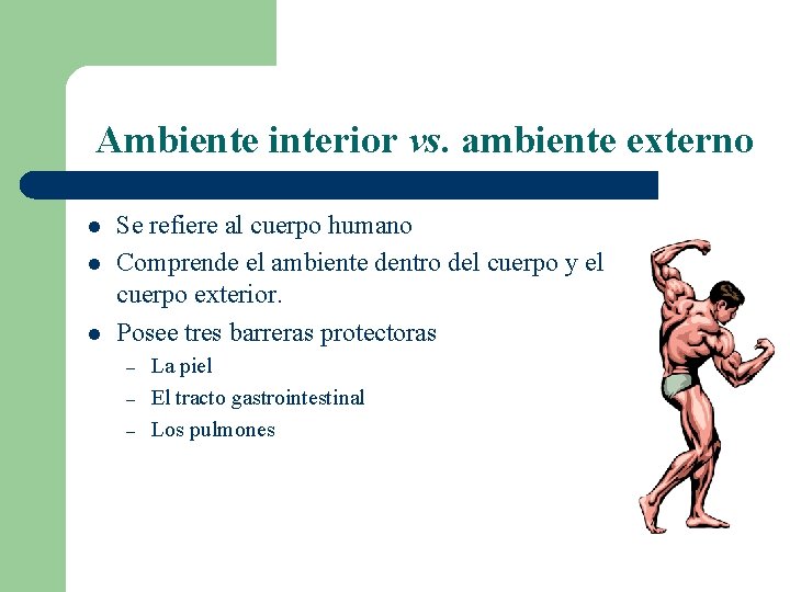 Ambiente interior vs. ambiente externo l l l Se refiere al cuerpo humano Comprende